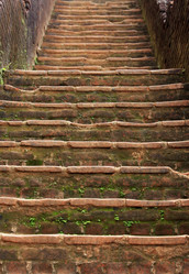 Similar image 1548748