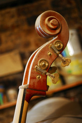 Similar image 1548764