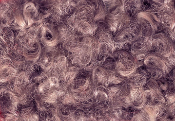 Similar image 1548889