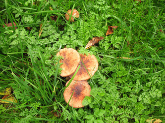 Similar image 1548894