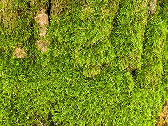 Similar image 1548917