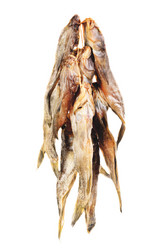 Similar image 1548933