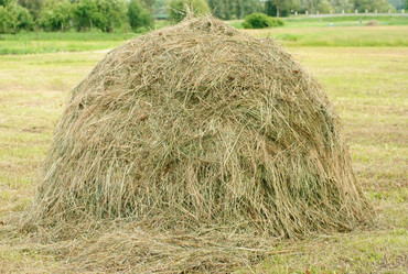 Similar image 1548934