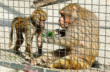 Similar image 1548935