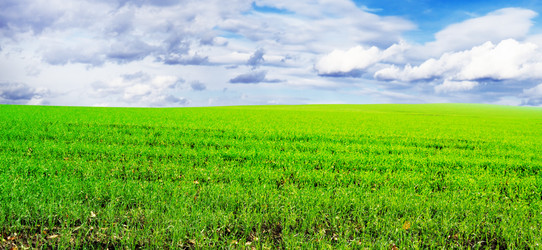 Similar image 1548959