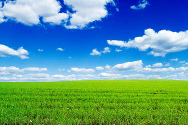 Similar image 1548964