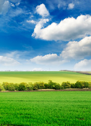 Similar image 1549022