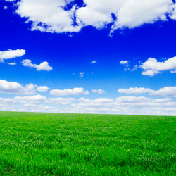 Similar image 1549024