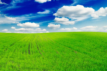 Similar image 1549025