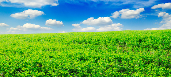 Similar image 1549031