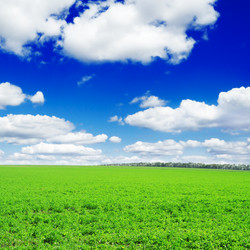 Similar image 1549056