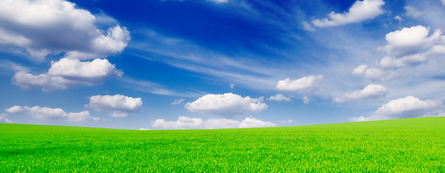 Similar image 1549074