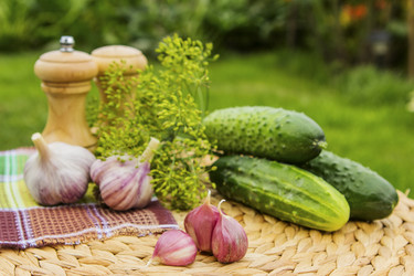 Similar image 1549108