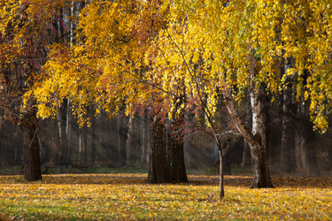 Similar image 1549425