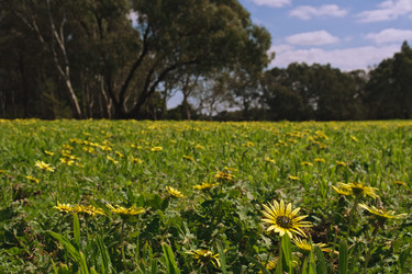 Similar image 1549455