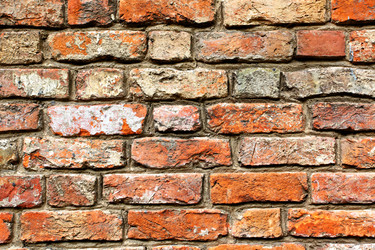 Similar image 1549487