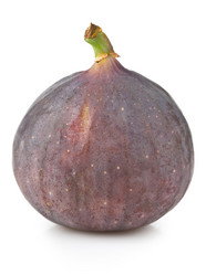 Similar image 1549491