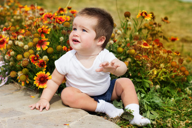 Similar image 1549523