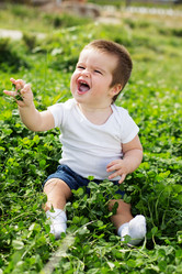 Similar image 1549524