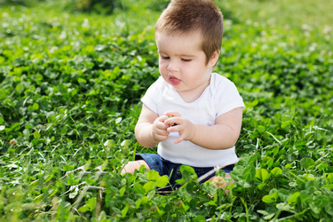 Similar image 1549525