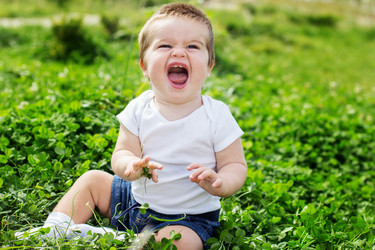 Similar image 1549526