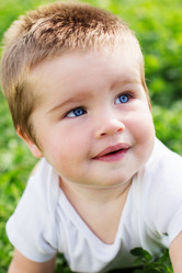 Similar image 1549527