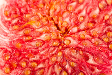 Similar image 1549558