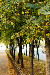 Similar image 1549753