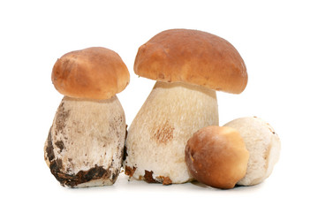 Similar image 1549780