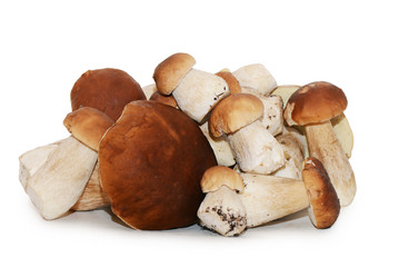 Similar image 1549781