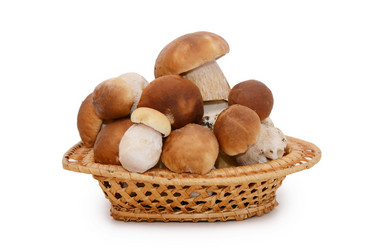 Similar image 1549785