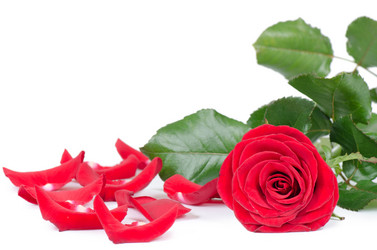 Similar image 1549819