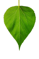 Similar image 1549840