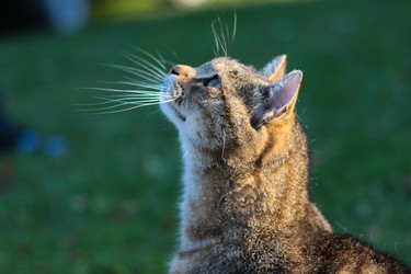 Similar image 1549854