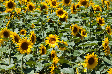 Similar image 1549857