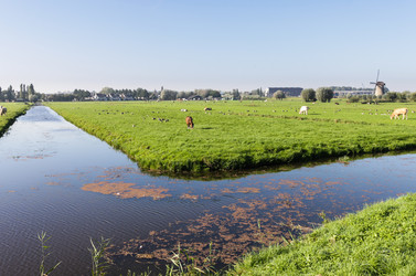 Similar image 1549858