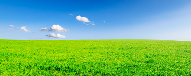 Similar image 1549859