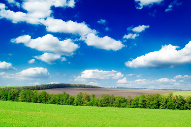 Similar image 1549866