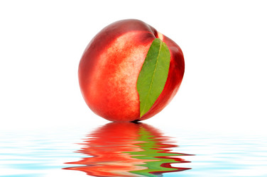 Similar image 1549876