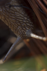 Similar image 1549881