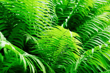 Similar image 1549882