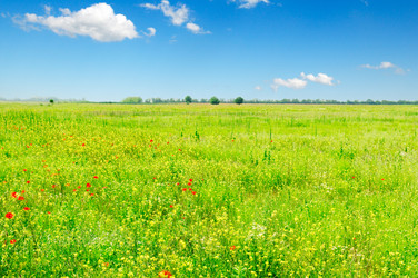 Similar image 1549887