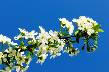 Similar image 1549904