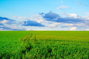 Similar image 1549905