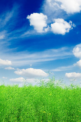 Similar image 1549928