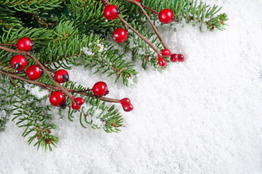 Similar image 1549963