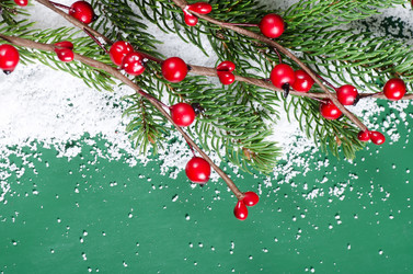 Similar image 1549964