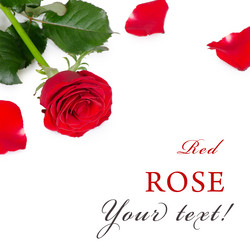 Similar image 1549985