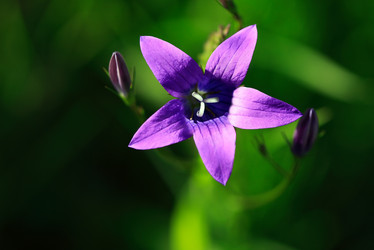 Similar image 1550021