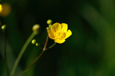 Similar image 1550026